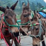 6af8f4590f196d9e87aa6dccfca22ac2