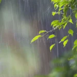 heavy-rain-tropical-rainforest-55108490