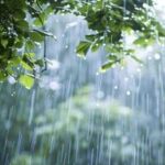 ai-generated-beautiful-rain-day-view-photo