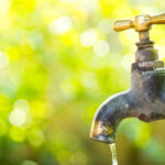 360_F_121867362_UrnFS0is0I2roSl8t4hcPVVZskxfE2dY