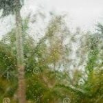 images (7)